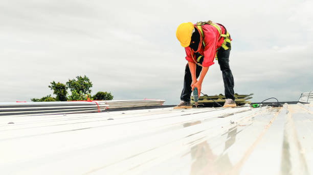 Best Skylight Installation and Repair  in Shenorock, NY
